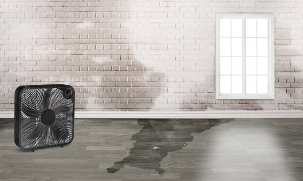 Best Water damage restoration near me  in Ptland, OR