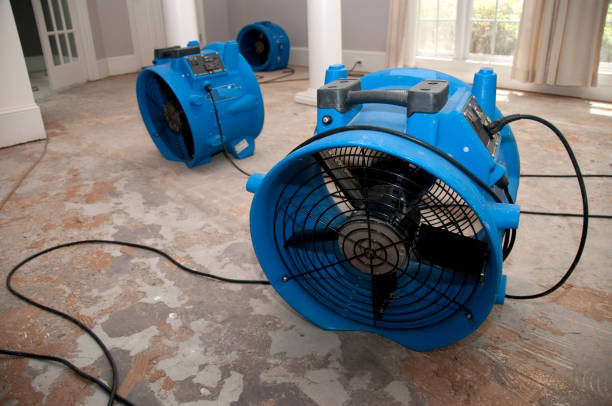 Best Water damage cleanup near me  in Ptland, OR