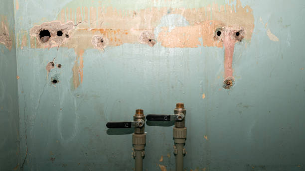 Reliable OR Water damage restoration Solutions