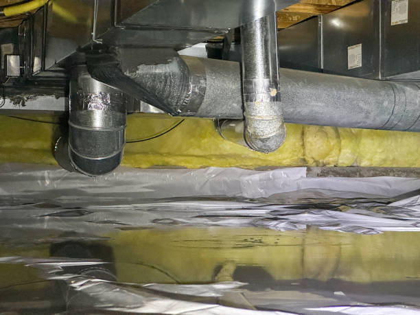 Best Water damage contractors near me  in Ptland, OR