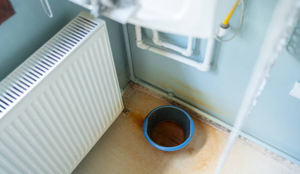 Best Professional water damage repair  in Ptland, OR
