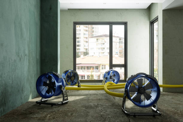 Best 24-hour water damage restoration  in Ptland, OR